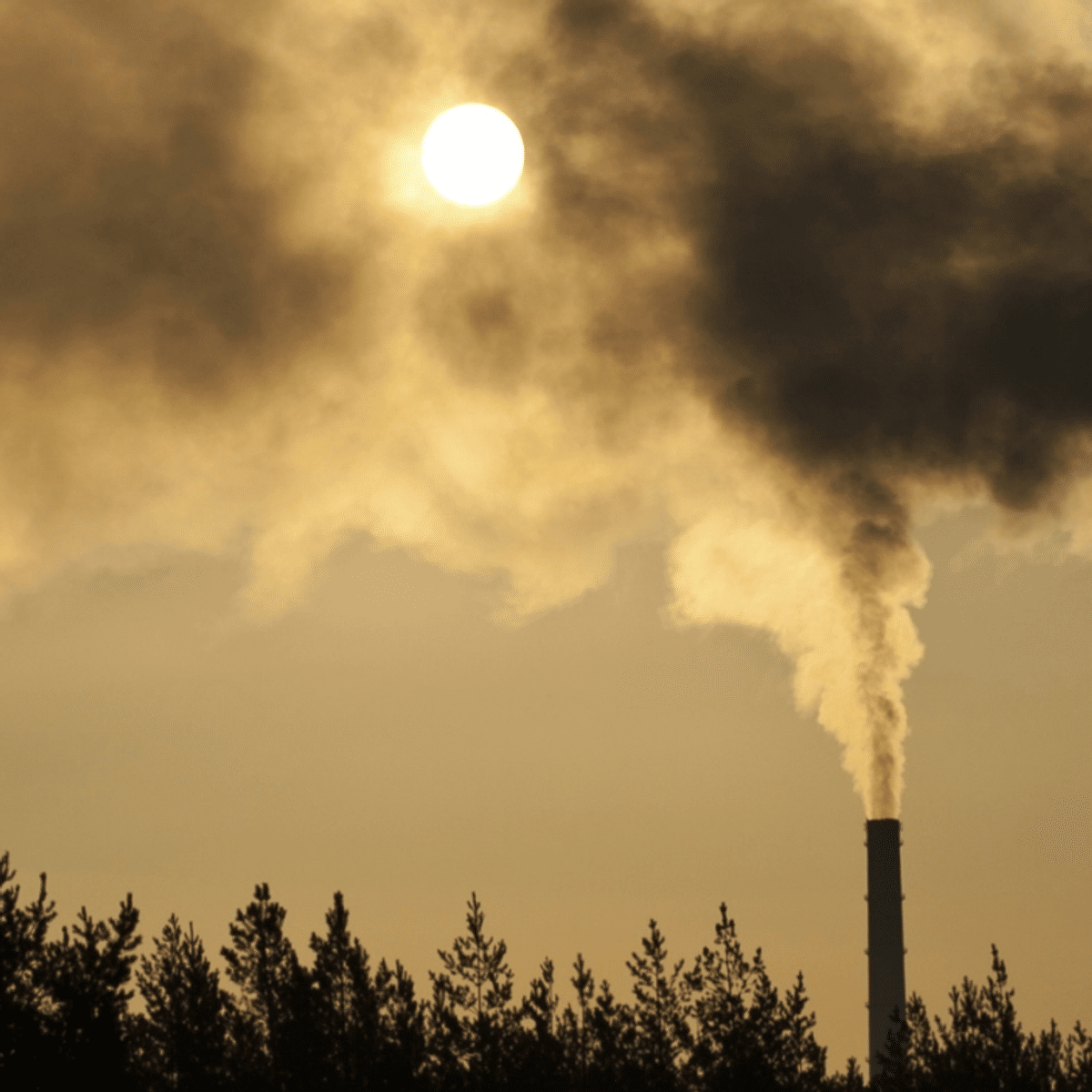 Genetic & Environmental Factors
